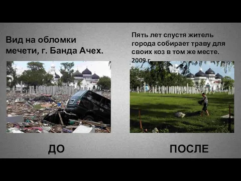 Вид на обломки мечети, г. Банда Ачех. Пять лет спустя житель города