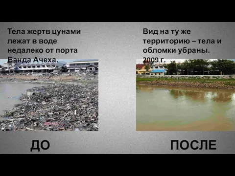 Тела жертв цунами лежат в воде недалеко от порта Банда Ачеха. Вид