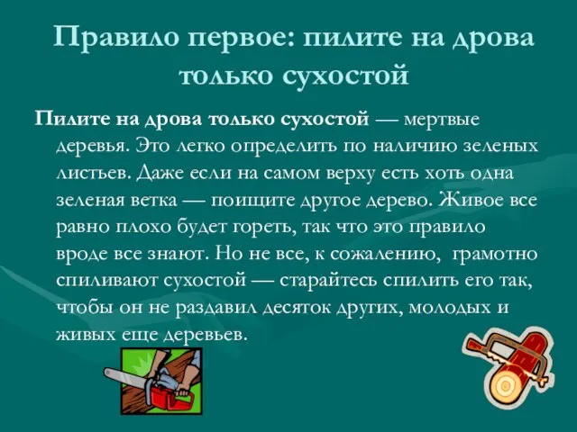 Правило первое: пилите на дрова только сухостой Пилите на дрова только сухостой