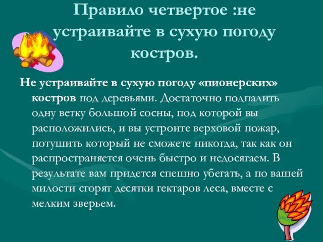 Правило четвертое :не устраивайте в сухую погоду костров. Не устраивайте в сухую