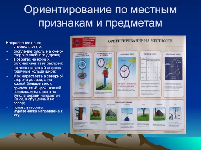 Ориентирование по местным признакам и предметам Направление на юг определяют по: скопление