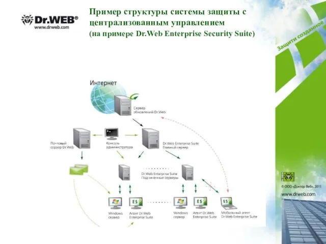 Пример структуры системы защиты с централизованным управлением (на примере Dr.Web Enterprise Security Suite)