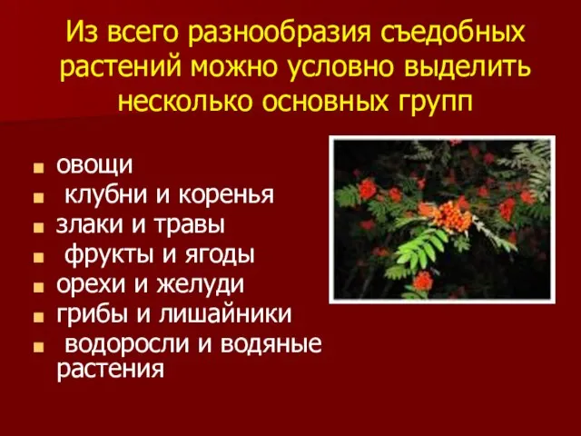 Из всего разнообразия съедобных растений можно условно выделить несколько основных групп овощи