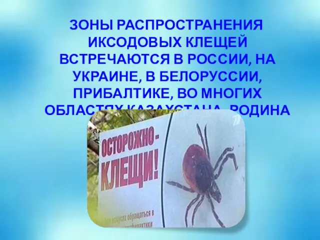Зоны распространения иксодовых клещей встречаются в России, на Украине, в Белоруссии, Прибалтике,