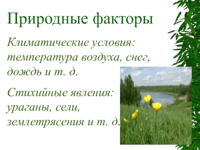 Природные факторы Климатические условия: температура воздуха, снег, дождь и т. д. Стихийные