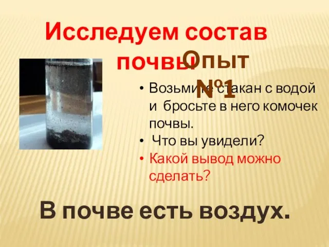 Возьмите стакан с водой и бросьте в него комочек почвы. Что вы