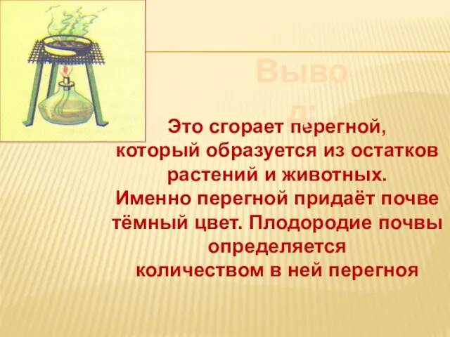 Это сгорает перегной, который образуется из остатков растений и животных. Именно перегной