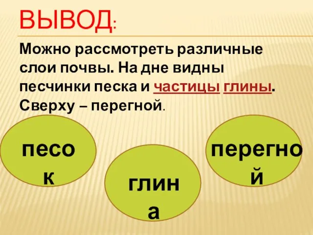 Вывод: Можно рассмотреть различные слои почвы. На дне видны песчинки песка и