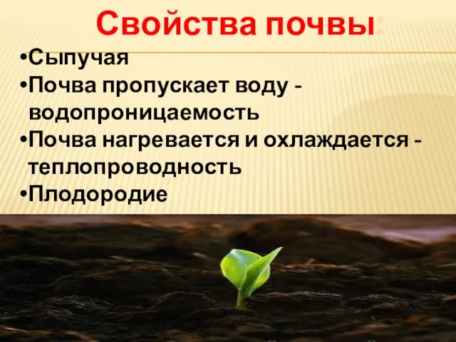 Свойства почвы: Сыпучая Почва пропускает воду - водопроницаемость Почва нагревается и охлаждается -теплопроводность Плодородие