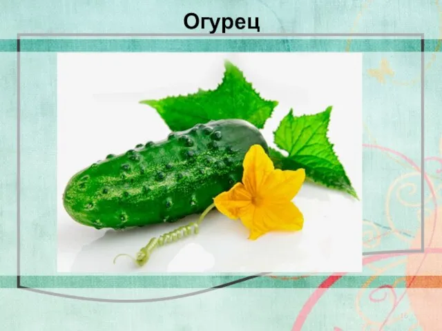 Огурец