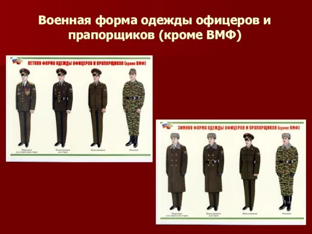 Военная форма одежды офицеров и прапорщиков (кроме ВМФ)