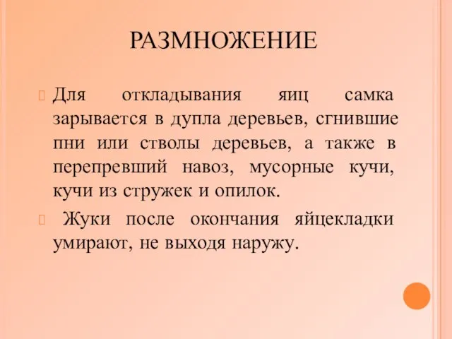 РАЗМНОЖЕНИЕ Для откладывания яиц самка зарывается в дупла деревьев, сгнившие пни или