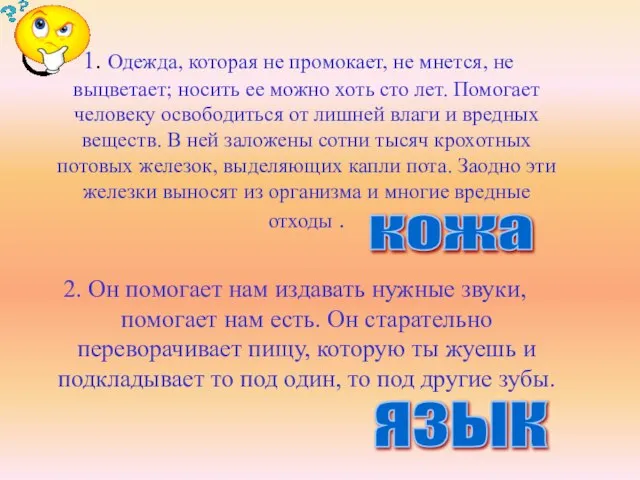 1. Одежда, которая не промокает, не мнется, не выцветает; носить ее можно