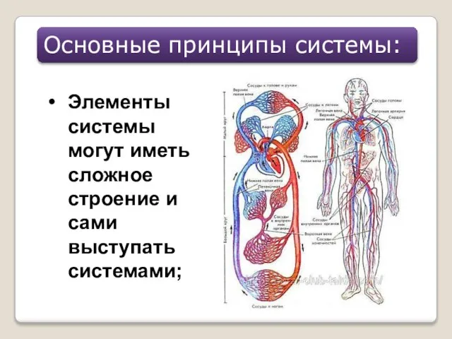 Элементы системы могут иметь сложное строение и сами выступать системами; Основные принципы системы: