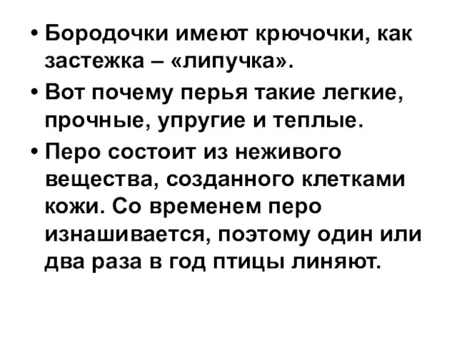 Бородочки имеют крючочки, как застежка – «липучка». Вот почему перья такие легкие,