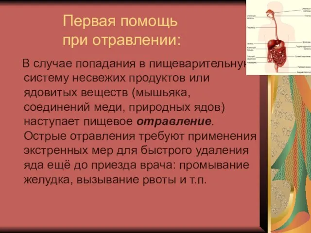 Первая помощь при отравлении: В случае попадания в пищеварительную систему несвежих продуктов