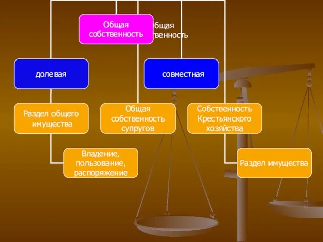 Общая собственность