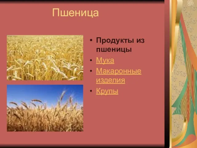 Пшеница Продукты из пшеницы Мука Макаронные изделия Крупы