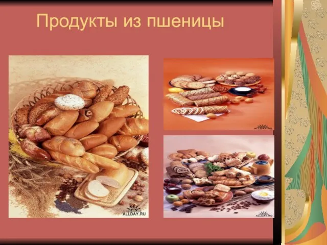 Продукты из пшеницы