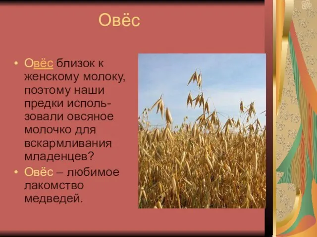 Овёс Овёс близок к женскому молоку, поэтому наши предки исполь-зовали овсяное молочко