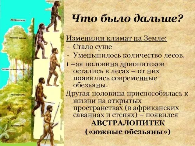 Что было дальше? Изменился климат на Земле: Стало суше Уменьшилось количество лесов.