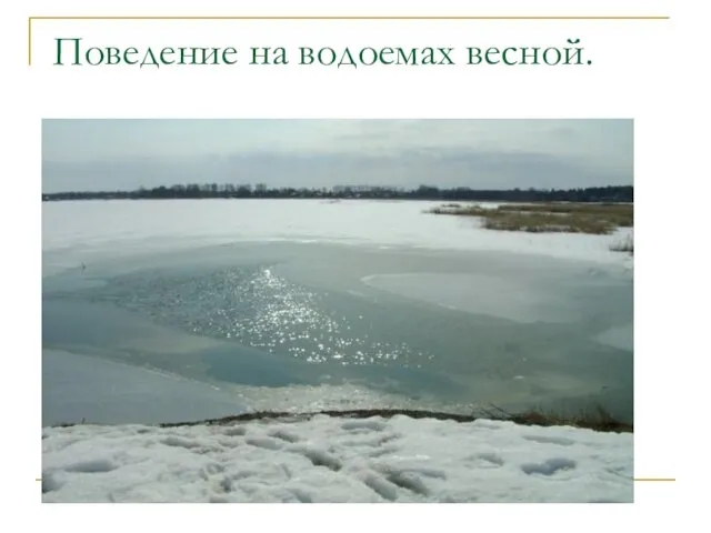 Поведение на водоемах весной.