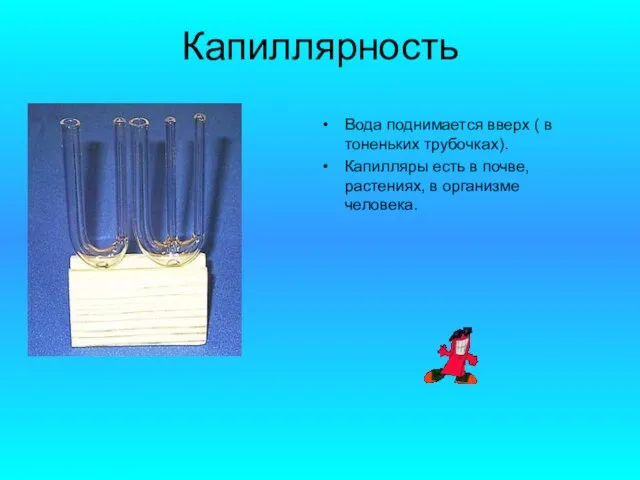 Капиллярность Вода поднимается вверх ( в тоненьких трубочках). Капилляры есть в почве, растениях, в организме человека.