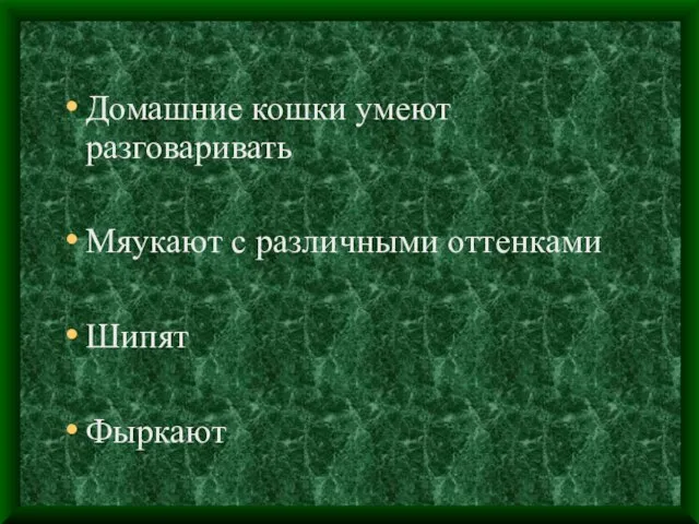 Домашние кошки умеют разговаривать Мяукают с различными оттенками Шипят Фыркают