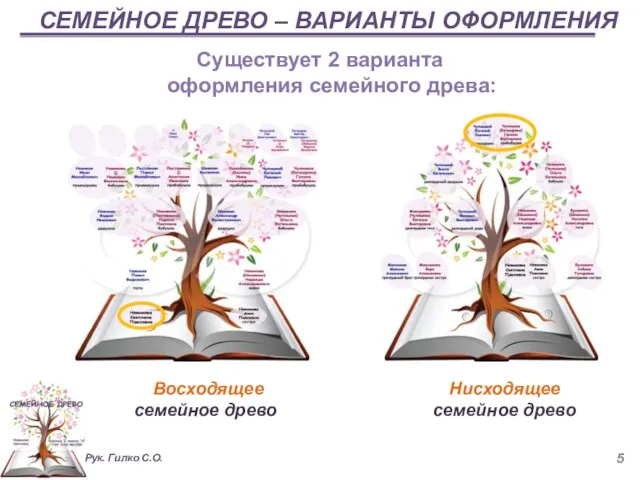 СЕМЕЙНОЕ ДРЕВО – ВАРИАНТЫ ОФОРМЛЕНИЯ Существует 2 варианта оформления семейного древа: Восходящее