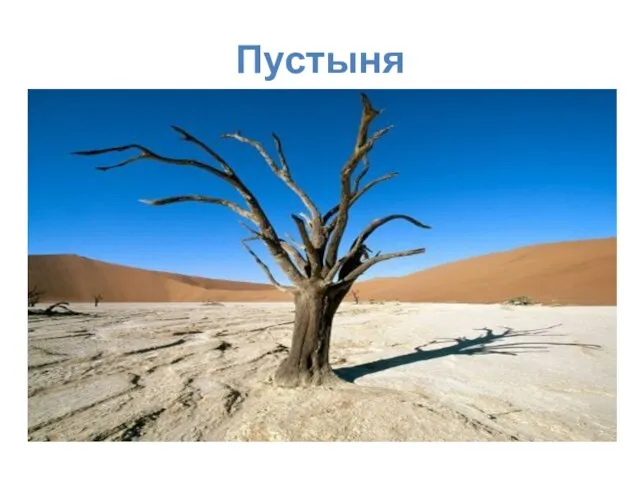 Пустыня