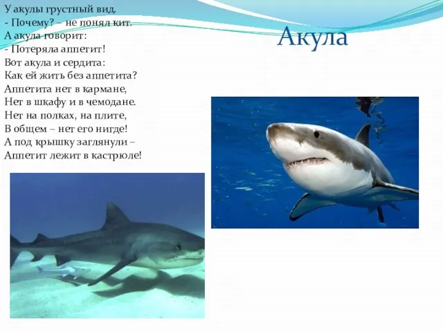 У акулы грустный вид. - Почему? – не понял кит. А акула