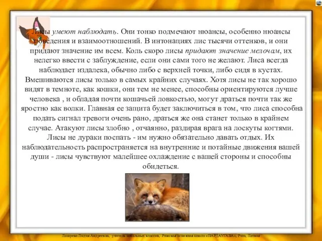 Лисы умеют наблюдать. Они тонко подмечают нюансы, особенно нюансы поведения и взаимоотношений.