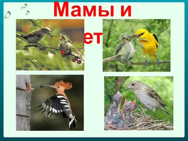 Мамы и дети