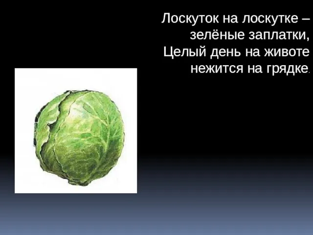 Лоскуток на лоскутке – зелёные заплатки, Целый день на животе нежится на грядке.