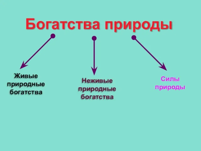 Богатства природы Неживые природные богатства Силы природы Живые природные богатства