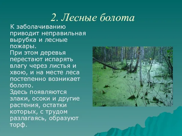 2. Лесные болота К заболачиванию приводит неправильная вырубка и лесные пожары. При