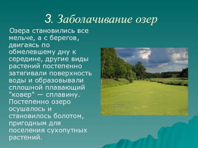 3. Заболачивание озер Озера становились все мельче, а с берегов, двигаясь по