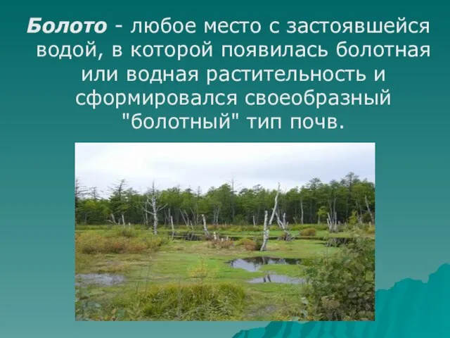 Болото - любое место с застоявшейся водой, в которой появилась болотная или