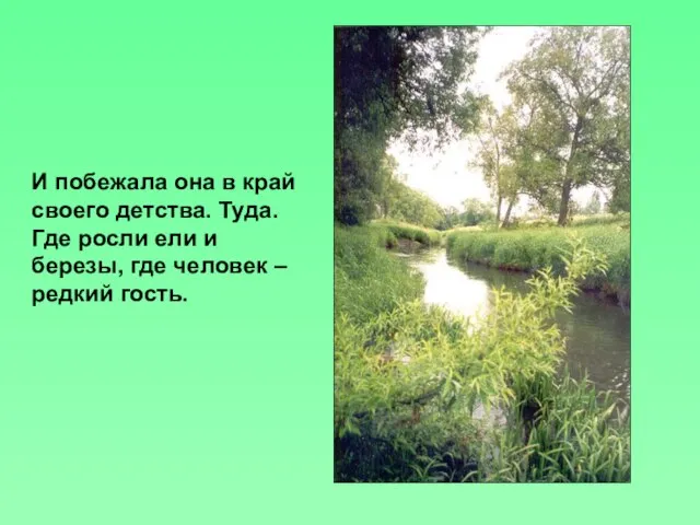 И побежала она в край своего детства. Туда. Где росли ели и