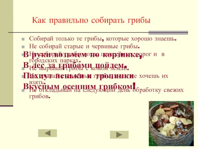 Как правильно собирать грибы Собирай только те грибы, которые хорошо знаешь. Не