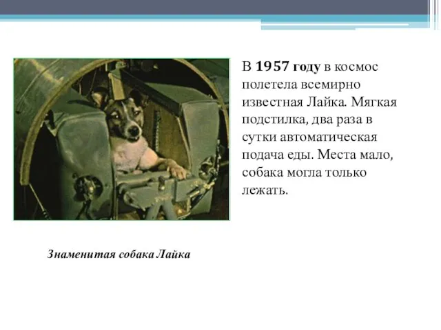 В 1957 году в космос полетела всемирно известная Лайка. Мягкая подстилка, два