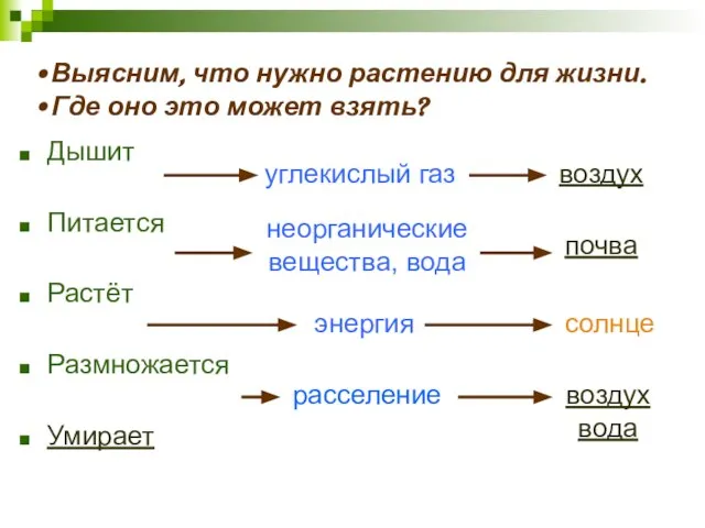 Дышит Питается Растёт Размножается Умирает углекислый газ воздух неорганические вещества, вода почва