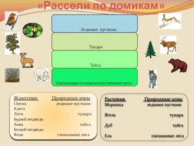 Ледяные пустыни Тайга Смешанные и широколиственные леса Тундра Животные Природные зоны Олень