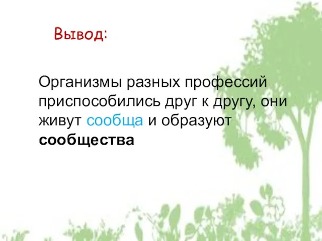 Организмы разных профессий приспособились друг к другу, они живут сообща и образуют сообщества Вывод: