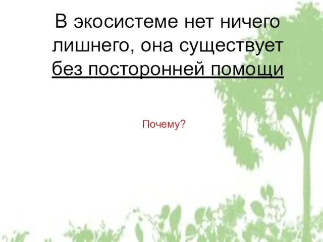 В экосистеме нет ничего лишнего, она существует без посторонней помощи Почему?