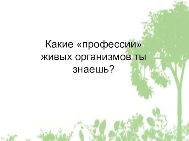 Какие «профессии» живых организмов ты знаешь?