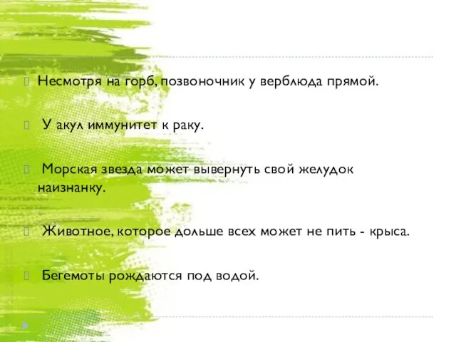 Несмотря на горб, позвоночник у верблюда прямой. У акул иммунитет к раку.