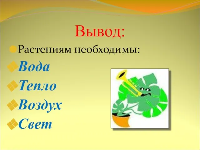 Вывод: Растениям необходимы: Вода Тепло Воздух Свет