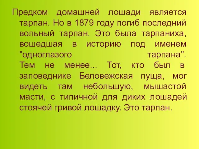 Предком домашней лошади является тарпан. Но в 1879 году погиб последний вольный