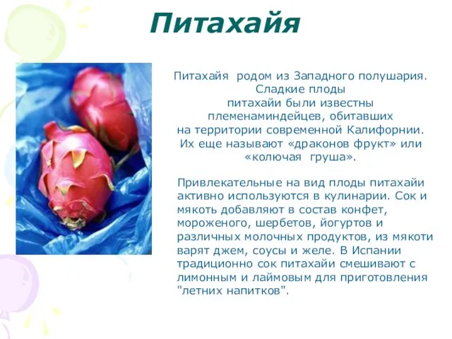 Питахайя Питахайя родом из Западного полушария.Сладкие плоды питахайи были известны племенаминдейцев, обитавших